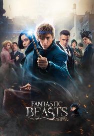 ดูหนังออนไลน์ฟรี Fantastic Beasts 1 and Where to Find Them (2016) สัตว์มหัศจรรย์และถิ่นที่อยู่