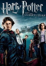 ดูหนังออนไลน์ฟรี Harry Potter 4 And The Goblet Of Fire (2005) แฮร์รี่ พอตเตอร์ 4 กับถ้วยอัคนี