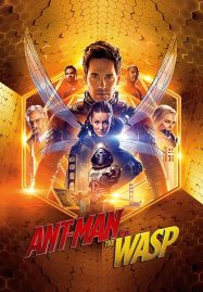 ดูหนังออนไลน์ฟรี Ant-Man 2 and The Wasp (2018) แอนท์ แมน และ เดอะ วอสพ์