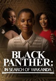 ดูหนังออนไลน์ฟรี 20/20 Presents Black Panther In Search of Wakanda (2022)