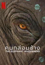 ดูหนังออนไลน์ฟรี The Elephant Whisperers (2022) คนกล่อมช้าง