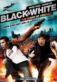 ดูหนังออนไลน์ฟรี Black and White The Dawn of Assault (2012) คู่มหาประลัย อุบัติการณ์ถล่มเมือง