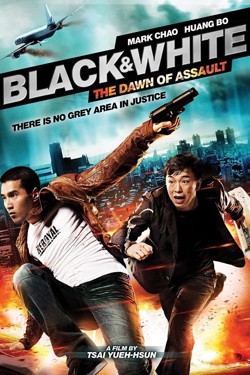 ดูหนังออนไลน์ Black and White The Dawn of Assault (2012) คู่มหาประลัย อุบัติการณ์ถล่มเมือง
