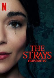 ดูหนังออนไลน์ The Strays (2023) คนหลงทาง