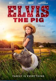 ดูหนังออนไลน์ Elvis the Pig (2022)