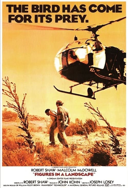 ดูหนังออนไลน์ Figures in a Landscape (1970) หนีสุดฟ้า ล่าสุดนรก