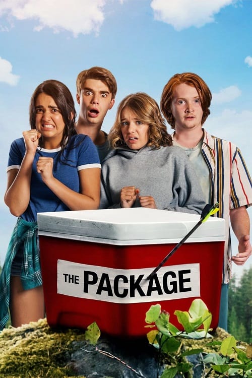 ดูหนังออนไลน์ The Package (2018) กล่องดวงใจ