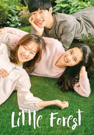 ดูหนังออนไลน์ Little Forest (2018) อาบเหงื่อต่างฤดู