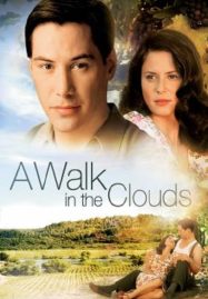 ดูหนังออนไลน์ A Walk in the Clouds (1995) จะขอบูชาหัวใจเธอไว้ที่วิมานเมฆ