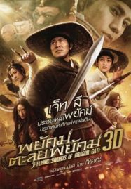 ดูหนังออนไลน์ Flying Swords Of Dragon Gate (2011) พยัคฆ์ตะลุยพยัคฆ์