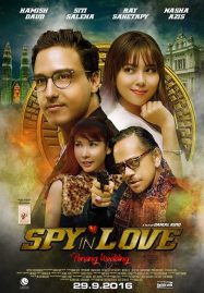 ดูหนังออนไลน์ฟรี Spy in Love (2016)