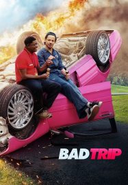 ดูหนังออนไลน์ฟรี Bad Trip (2020) ทริปป่วนคู่อำ