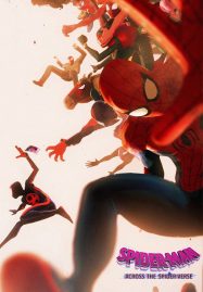 Spider Man Across the Spider Verse 