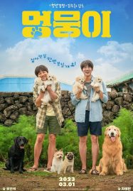 ดูหนังออนไลน์ My Heart Puppy (2023)