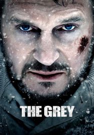 ดูหนังออนไลน์ฟรี The Grey (2011) ฝ่าฝูงเขี้ยวสยองโลก