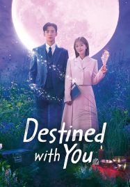 ดูหนังออนไลน์ Destined With You (2023) รักสุดวิสัย หัวใจไม่ให้เลี่ยง