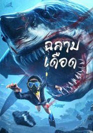 ดูหนังออนไลน์ Shark Evil (2023) ฉลามเดือด