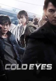 ดูหนังออนไลน์ฟรี Cold Eyes (2013) โคลด์ อายส์