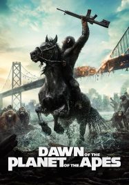 ดูหนังออนไลน์ฟรี Dawn of the Planet of the Apes (2014) รุ่งอรุณแห่งพิภพวานร