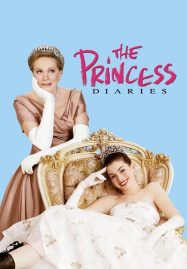 ดูหนังออนไลน์ The Princess Diaries (2001) บันทึกรักเจ้าหญิงมือใหม่
