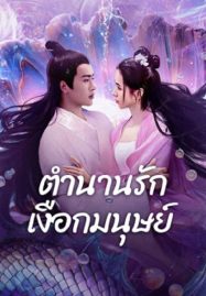 ดูหนังออนไลน์ Mermaid (2024) ตำนานรักเงือกมนุษย์