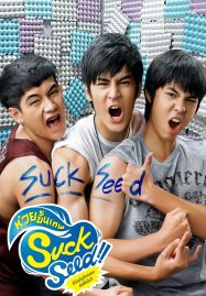 ดูหนังออนไลน์ฟรี SuckSeed (2011) ห่วยขั้นเทพ