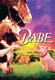 ดูหนังออนไลน์ฟรี Babe (1995) เบ๊บ หมูน้อยหัวใจเทวดา