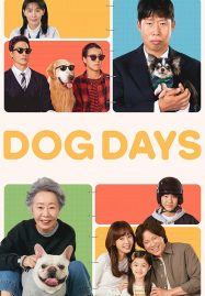 ดูหนังออนไลน์ฟรี Dog Days (2024) ด็อกเดย์ สี่ขาว้าวุ่น