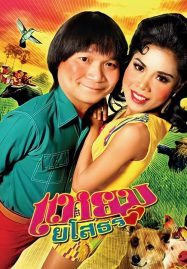 ดูหนังออนไลน์ฟรี Hello Yasothorn (2005) แหยม ยโสธร