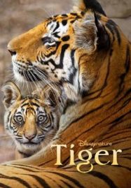 ดูหนังออนไลน์ฟรี Tiger (2024)