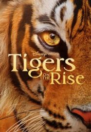 ดูหนังออนไลน์ Tigers on the Rise (2024)