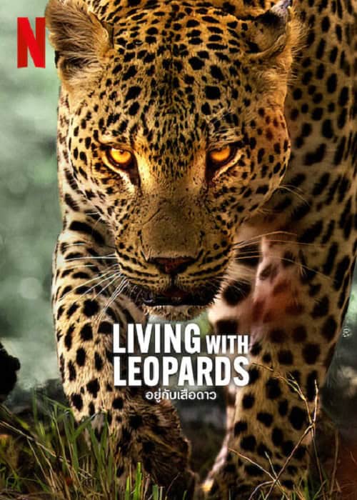 ดูหนังออนไลน์ฟรี Living with Leopards (2024) อยู่กับเสือดาว