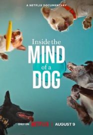 ดูหนังออนไลน์ฟรี Inside the Mind of a Dog (2024) อ่านใจสุนัข