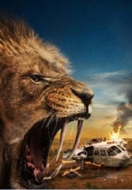 ดูหนังออนไลน์ฟรี Prey ขย้ำ (2024)