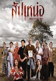ดูหนังออนไลน์ฟรี สัปเหน่อ Under Accent Taker (2024)