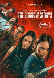 ดูหนังออนไลน์ฟรี The Shadow Strays นักฆ่าเงาล่าทรชน (2024)