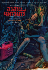 ดูหนังออนไลน์ฟรี Nednari (2023) อวสานเนตรนารี