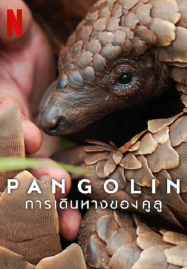ดูหนังออนไลน์ฟรี Pangolin Kulu’s Journey (2025) การเดินทางของคูลู