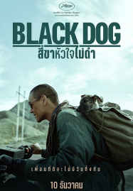 ดูหนังออนไลน์ Black Dog (2024) สี่ขาหัวใจไม่ดำ