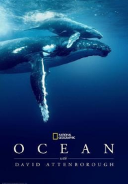 ดูหนังออนไลน์ Ocean with David Attenborough (2025)